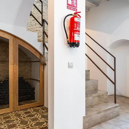 בית הארחה Arena House Conil קוניל דה לה פרונטרה